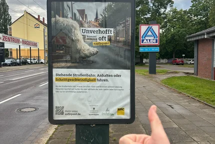 Plakat der Kampagne „Aufjepasst“ in Magdeburg, das für besondere Aufmerksamkeit an haltenden Straßenbahnen sensibilisiert. Im Vordergrund zeigt ein Daumen nach oben.