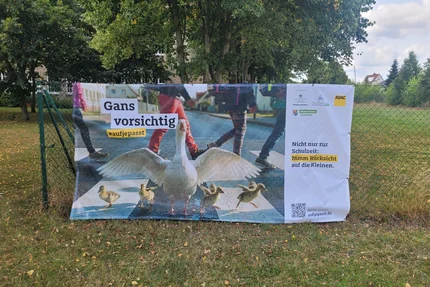 Altmarkkreis Salzwedel © Altmarkkreis Salzwedel Banner „Gans vorsichtig“ zeigt eine Gänsefamilie und warnt vor kleinen Verkehrsteilnehmenden.